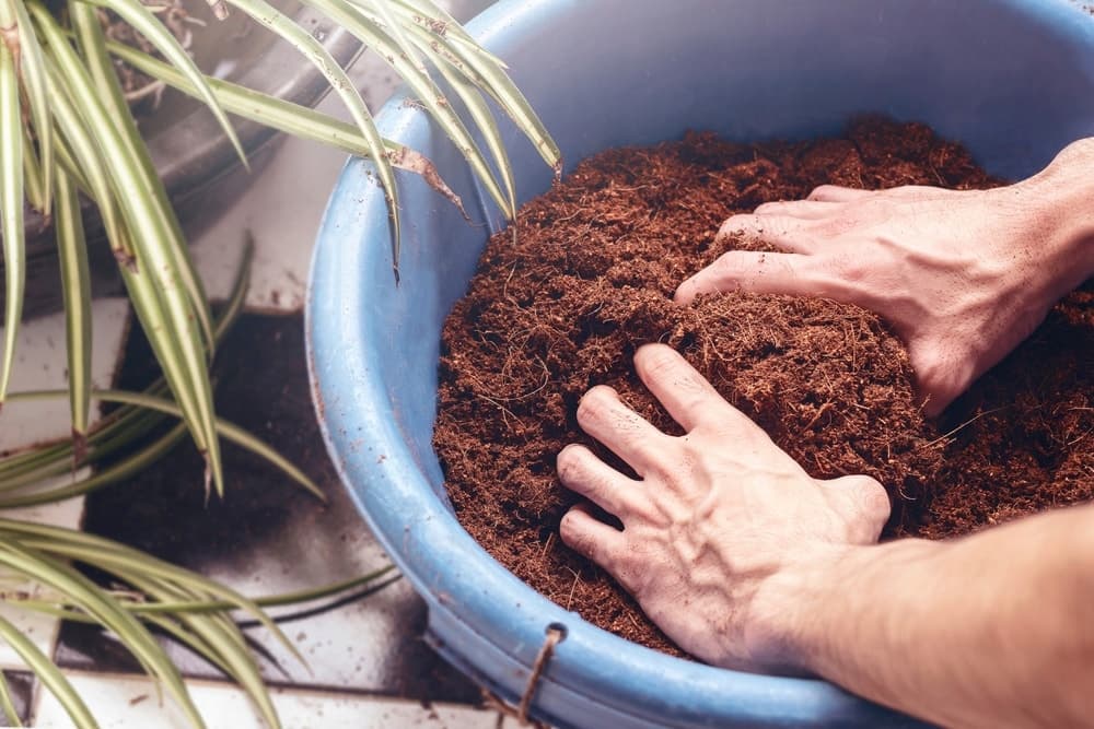 CocoPlant™ - lepsze ukorzenienie i szybszy rozwój roślin